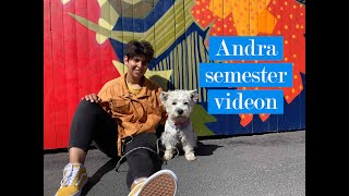 ANDRA SEMESTERVECKAN 2020