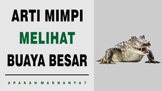 Arti Mimpi Melihat Buaya Besar