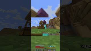 How I RISKED EVERYTHING for the RAREST item #minecraft