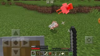 I killed the strongest chicken in Minecraft