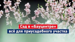 Садовый центр. Обзор товаров для дачного участка