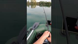 Giant Fish on rod