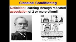 Classical Conditioning - VCE U3 Psychology