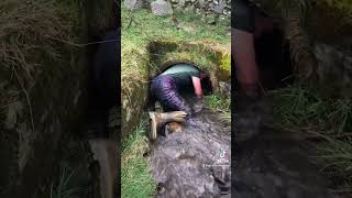 Heroic sheep farmer rescues two lambs in her flock from storm drain | Humankind #shorts #goodnews