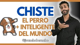 ✅✅CHISTE MUY BUENO!! El perro + inteligente del mundo 😂😂😂