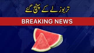 Watermelon arrived at the rate of 150 rupees per kg