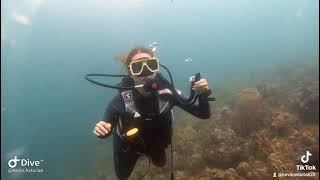 Open Water Scuba Diver Course Training with friendly Turtle #divesanluis #philippines #batangas