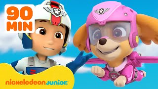 PAW Patrol | Stella de la Pat'Patrouille est prête à s'envoler ! | Nickelodeon Jr. France