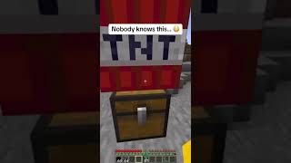 Minecraft but NOBODY know THIS!😱