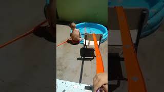 brincando de hot Wheels na piscina