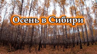 Природа в Сибири Осенью! Красноярский край, Манский район.