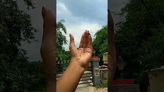 #handtrick#tiktokvideo #viral