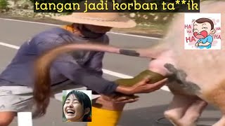 kok bisa jadi begini ya