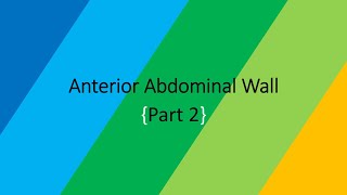 Anterior Abdominal Wall Part 2