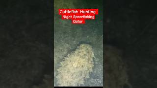 Night Spearfishing Qatar #shorts #shortvideo #shortsfeed #fypシ #viralshorts #trendingshorts #ofw