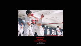 Karate Martial Art, Training, Shotokan, Fitness, Dojo, Class, Usu!