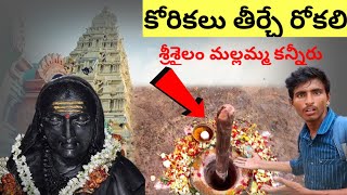 శ్రీశైలం మలమ్మ కన్నీరు చూడండి || రోకలి నిలబడితే మన కోరిక తీరుతుంది💯 🤔🙏🙏🕉️||srisailam Famous Temples