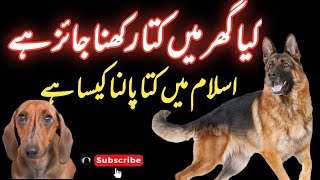 کیا گھر میں کتا رکھنا شرعاً جائز ہے | گھر میں کتا پالنا کیسا ہے ؟ | Shafa-e-Mehshar