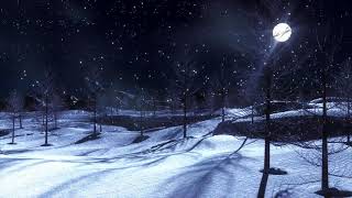 Sleeping music with beautiful snowfall