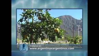 MENDOZA, TALAMPAYA, VISITA DE ARGENTINA X ARGENTINOS