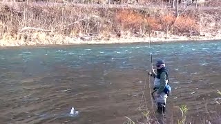 Walt Nicholson - Two Of His Dozen Trout