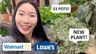 NEW (Mystery) Hanging Plant Finds & Lots of $1 Pots in Clearance! Lowe’s & Walmart Shopping and Haul