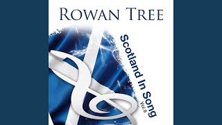 Rowan Tree