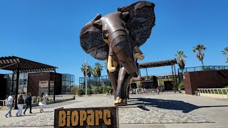 valencia Bioparc virtual tour and bus tour 4k 60fps