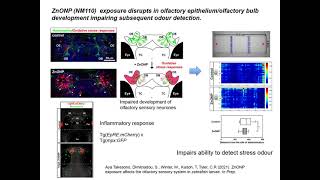 PATROLS GA Topic 5 (Part 2) Early warning biomarkers in zebrafish larvae