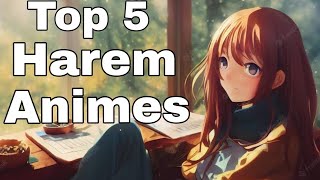 Top 5 Best Harem Anime (Hindi)