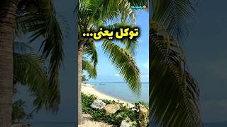 توکل یعنی اعتماد به خدا/توکل یعنی خدا برات کافیه #shorts