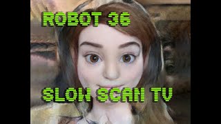 0104 Toonify SSTV Robot36