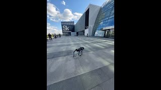 Робот Unitree в Сколково | Robot Unitree in Skolkovo