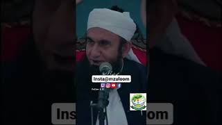 Asal Muhbbat Shadi ke Bad hoti he beautiful Bayan Maulana Tariq jameel Sahab #mzuloom #whatsapstatus