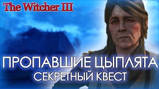 ПРОПАВШИЕ ЦЫПЛЯТА - СКРЫТЫЙ КВЕСТ про бездомных детей I Ведьмак 3 Дикая охота