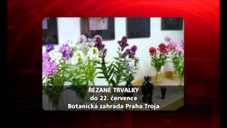 Pozvánka na výstavu Řezané trvalky BZ Praha Trója do 22 července 2012