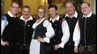 Noch einmal erklingt der Walzer, Ne prižigaj luči, Alpen Singers Hafenfest 2016 (eh. Alpen Swingers)