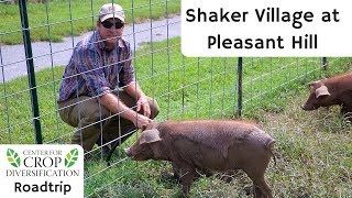 Shaker Village at Pleasant Hill--CCD Roadtrip