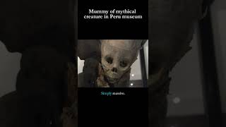 Alien Humanoid in Museum