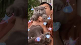 Counting YouTube's Whisker-Worthy Wonders:My Cat & I Share the Love!#viral @shaggyshaggy9631