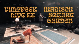 Vulfpeck Live at Madison Square Garden