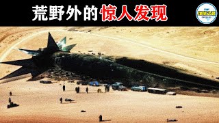 无人机在沙漠意外拍下天外来客，各国专家到场后集体炸锅！20个荒野外的惊人发现！丨地球之最#冷知识 #排名 #世界之最#惊人发现#地球之最#世界之最top#top10#top20#最神秘的#不明飞行物