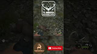 HUGE Diamond Sika Deer on Te Awaroa! | #thehuntercallofthewild #thehunter17 |