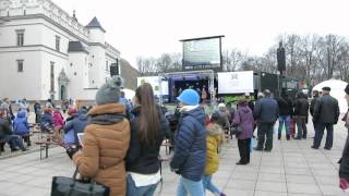 Концерт на Кафедральной площади в честь праздника "Казюкас", Вильнюс (Литва).