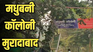 मधुबनी मुरादाबाद || मधुबनी कॉम्प्लेक्स || Madhubani Complex || Madhubani Moradabad