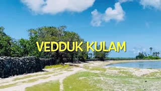 Vedduk kulam | Delft