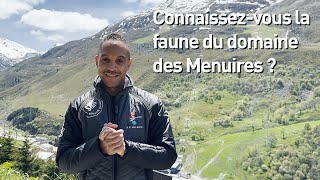 Connaissez-vous la faune du domaine des Menuires ?