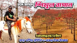 ঘোড়ায় চড়ে সুনামগঞ্জের শিমুল বাগান । Shimul Bagan Sunamganj Tour | Sylhet Bangladesh