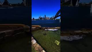 Sydney harbour bridge #reels #australia  #sydney #shortvideo