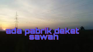 alam sawah waktu sore